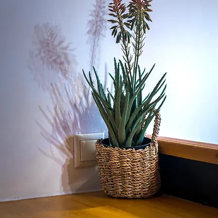 Wishing Stars Luxury Experience Livadi Σαλέ *